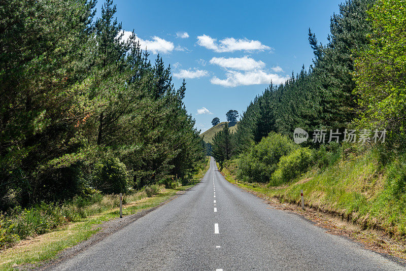 图图考路和热勘探Hwy或国家Hwy 5到Orakei Korako地热公园，新西兰